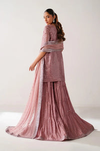 Dusty Rose & Silver Sparkle: Embroidered Chiffon Ghararah SUit | Ready To Wear