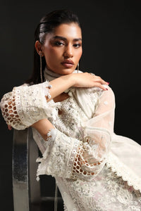 Icy White & Soft Floral Accent: Embroidered Organza Suit | Ready To Wear